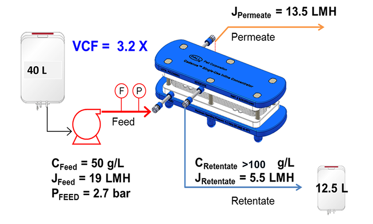 Figure 4: Schematic Of The Final Concentration Step