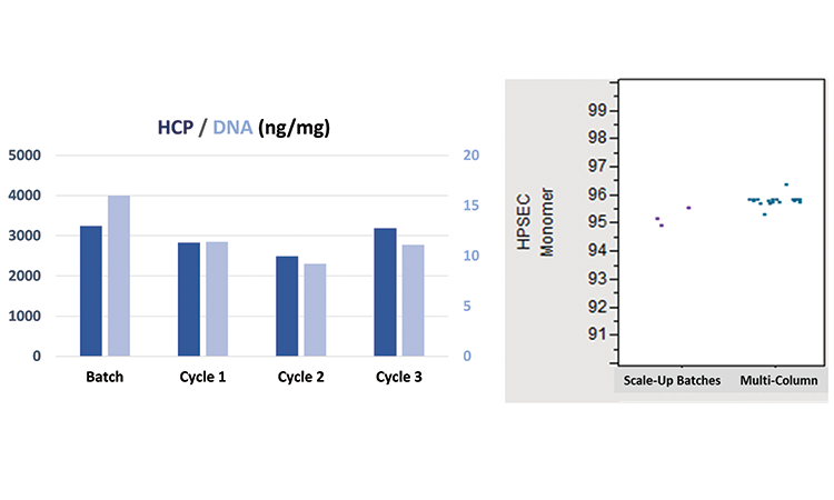 Figure 4: Small-scale Mcc Performance: Impurities And Aggregates