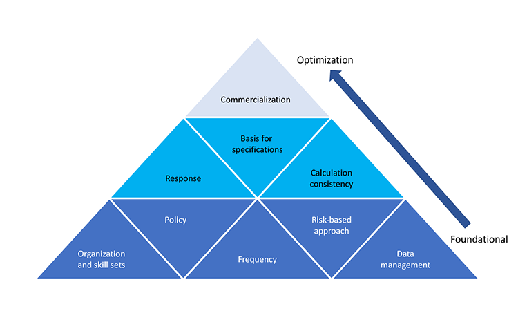 Figure 1 - Process Capability Program