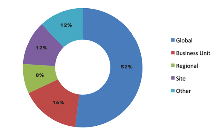 Figure 4 Scope of Involvement