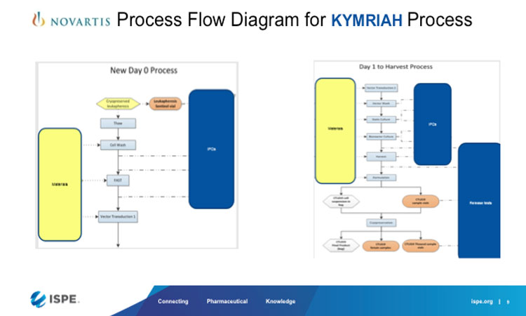 Process flow diagram for CGT product