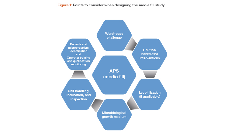 Figure 1: Points to consider when designing the media fill study.