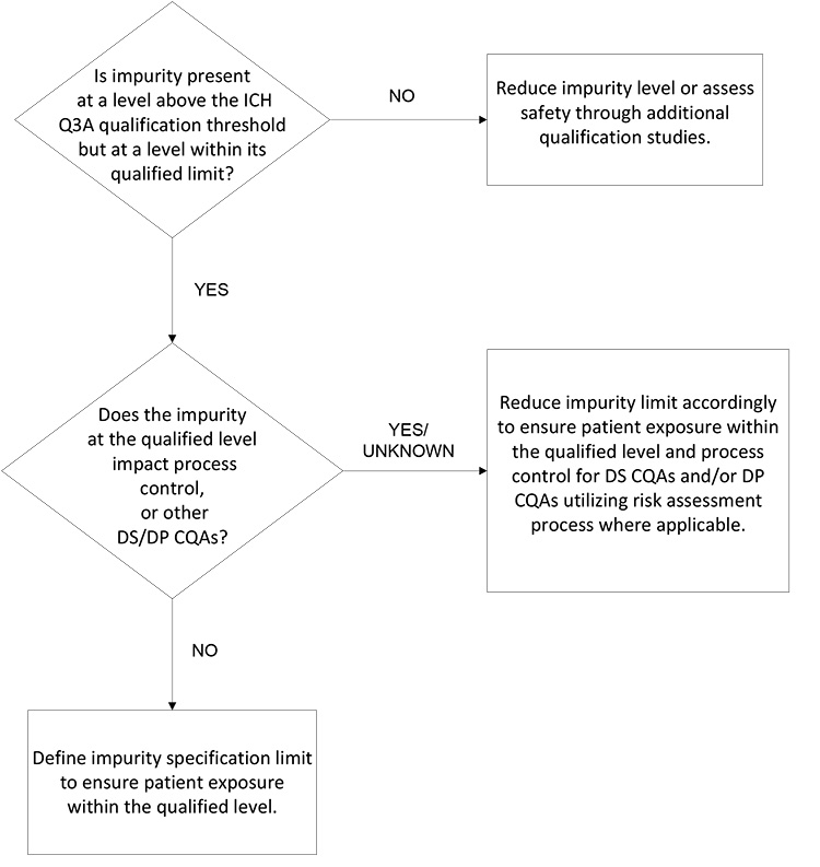 Figure 2: Proposed decision tree for synthetic molecule DS process (non-mutagenic) impurity limits.