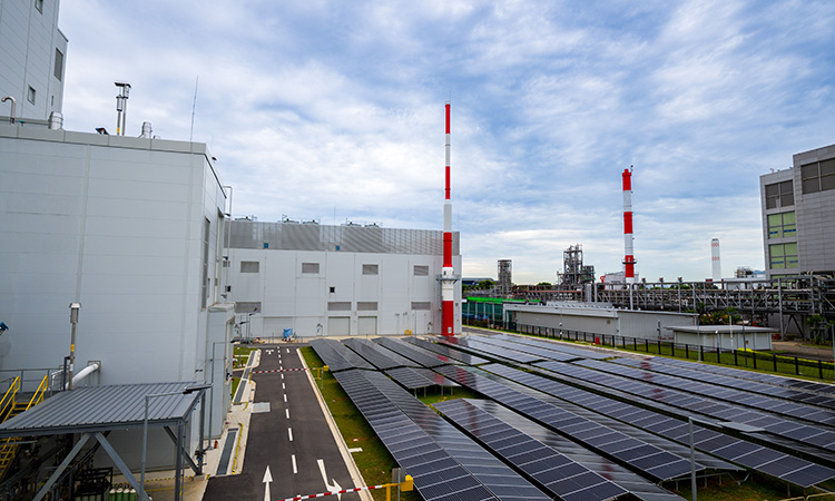 Ground Level Solar Panels