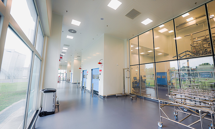 Milling Building Corridor with Natural Light