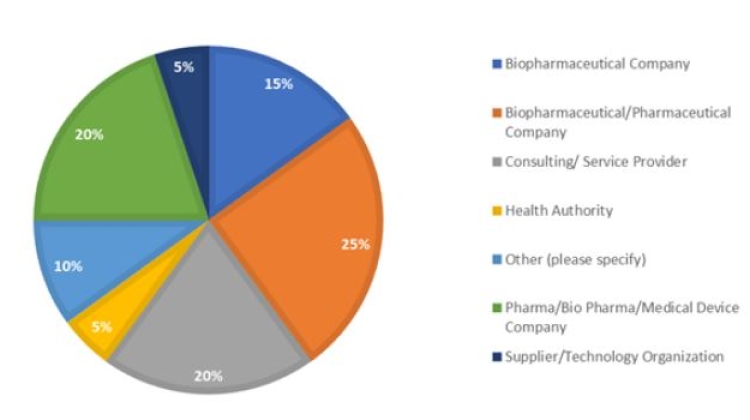 Organization demographics of survey respondents; n = 25, with 20 unique organizations